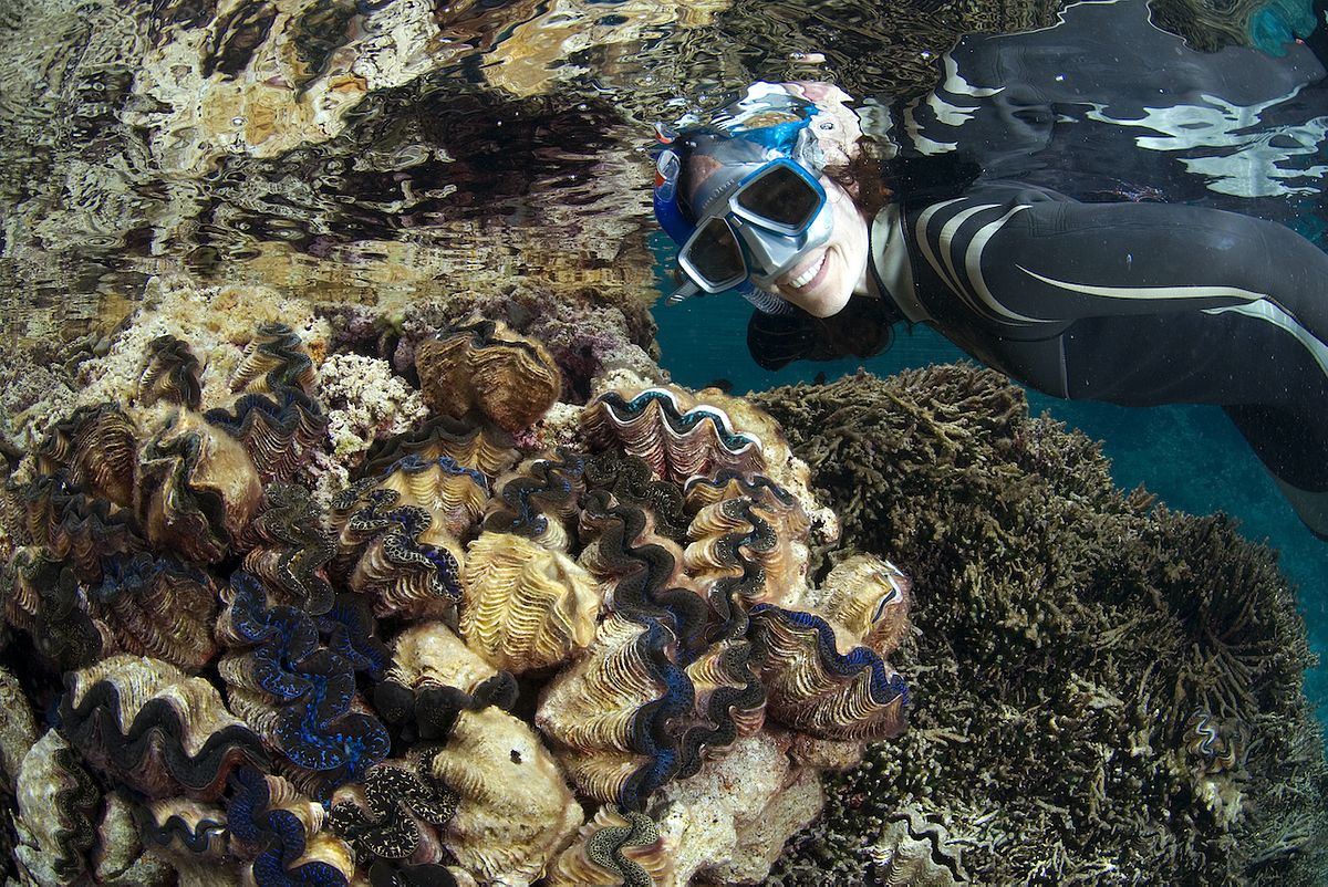 Invest for Good // Kristin Rechberger